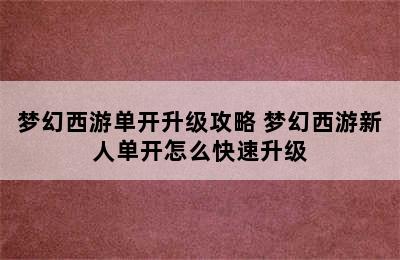 梦幻西游单开升级攻略 梦幻西游新人单开怎么快速升级